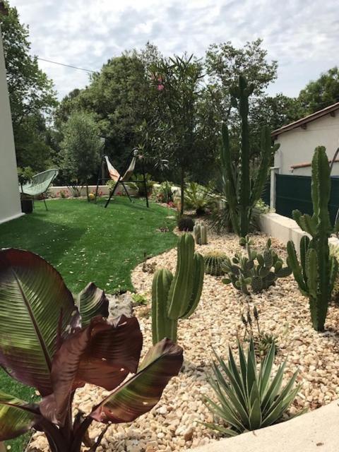 Villa Oha Close Cannes,Nice, Valbonne , Opio Roquefort-les-Pins Zewnętrze zdjęcie