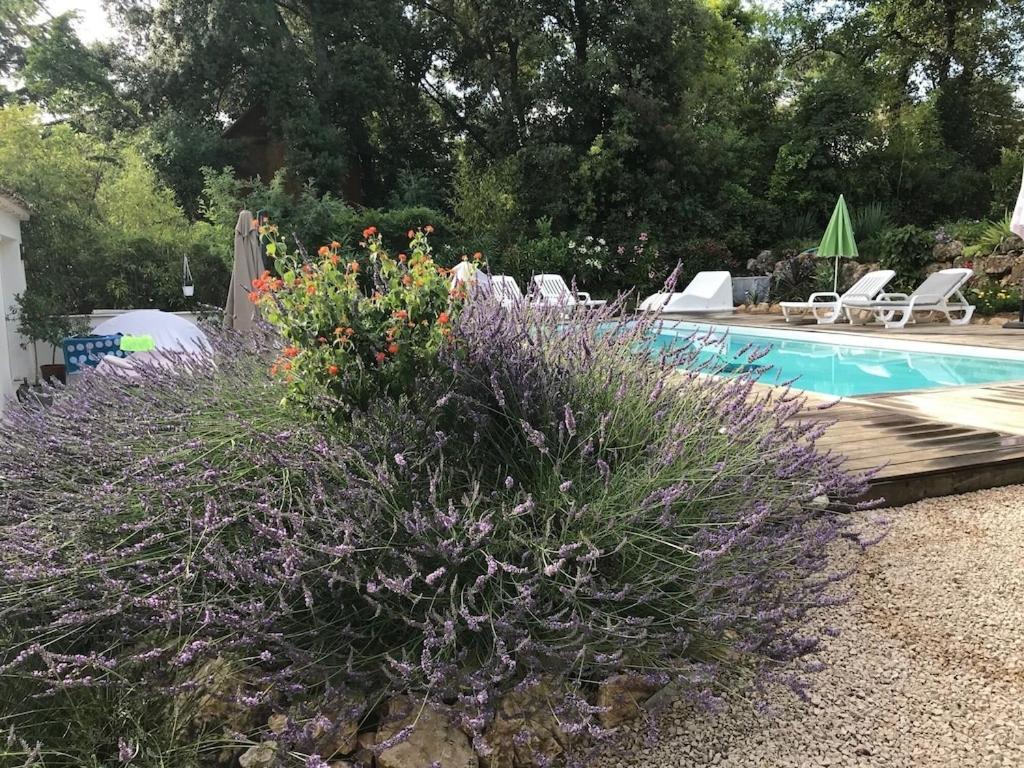 Villa Oha Close Cannes,Nice, Valbonne , Opio Roquefort-les-Pins Zewnętrze zdjęcie