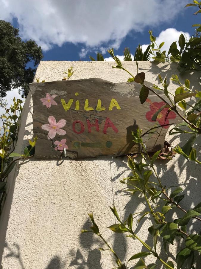 Villa Oha Close Cannes,Nice, Valbonne , Opio Roquefort-les-Pins Zewnętrze zdjęcie